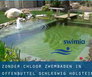 Zonder chloor Zwembaden in Offenbüttel (Schleswig-Holstein)