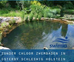 Zonder chloor Zwembaden in Osterby (Schleswig-Holstein)