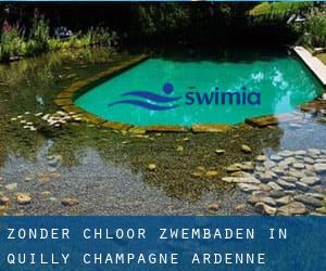 Zonder chloor Zwembaden in Quilly (Champagne-Ardenne)