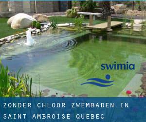 Zonder chloor Zwembaden in Saint-Ambroise (Quebec)