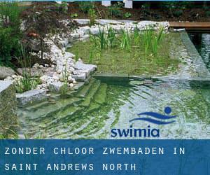 Zonder chloor Zwembaden in Saint Andrews North