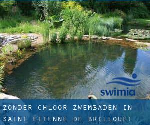 Zonder chloor Zwembaden in Saint-Étienne-de-Brillouet