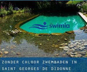 Zonder chloor Zwembaden in Saint-Georges-de-Didonne