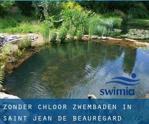 Zonder chloor Zwembaden in Saint-Jean-de-Beauregard