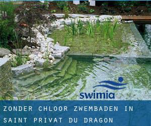 Zonder chloor Zwembaden in Saint-Privat-du-Dragon