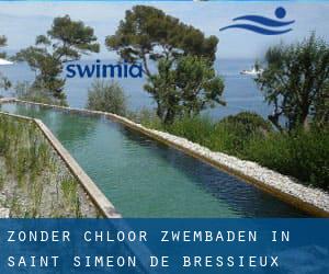 Zonder chloor Zwembaden in Saint-Siméon-de-Bressieux