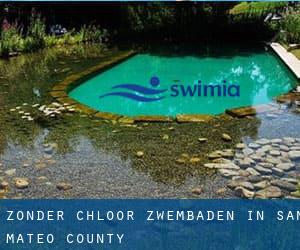 Zonder chloor Zwembaden in San Mateo County