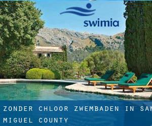 Zonder chloor Zwembaden in San Miguel County