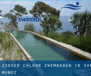 Zonder chloor Zwembaden in San Muñoz