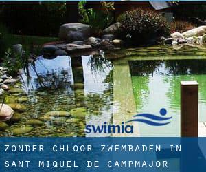 Zonder chloor Zwembaden in Sant Miquel de Campmajor