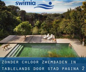 Zonder chloor Zwembaden in Tablelands door Stad - pagina 2