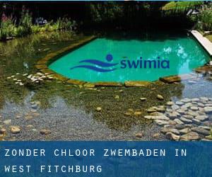 Zonder chloor Zwembaden in West Fitchburg