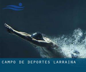 Campo de Deportes Larraina