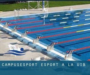 CampusEsport - Esport a la UIB