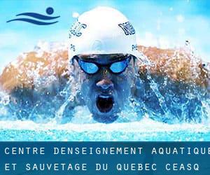 Centre d'Enseignement Aquatique et Sauvetage du Quebec (C.E.A.S.Q)