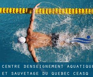 Centre d'Enseignement Aquatique et Sauvetage du Quebec (C.E.A.S.Q)