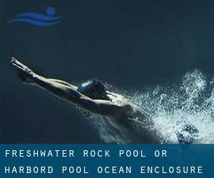 Freshwater Rock Pool or Harbord Pool (Ocean Enclosure)