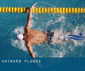 Hayward Plunge