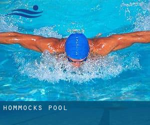 Hommocks Pool