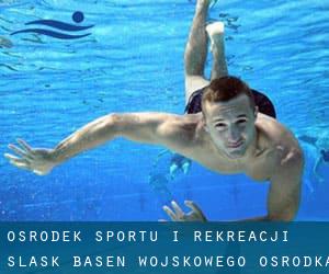 Osrodek Sportu i Rekreacji / Slask-Basen Wojskowego Osrodka