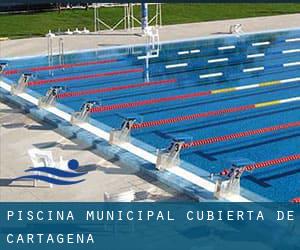 Piscina-Municipal Cubierta de Cartagena