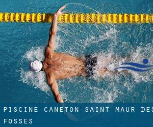 Piscine Caneton - Saint Maur Des Fosses