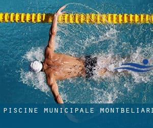 Piscine Municipale - Montbeliard