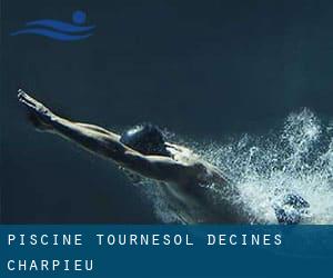 Piscine Tournesol - Decines Charpieu