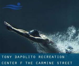 Tony Dapolito Recreation Center (f. the Carmine Street Recreation Center)