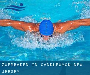 Zwembaden in Candlewyck (New Jersey)