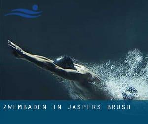 Zwembaden in Jaspers Brush