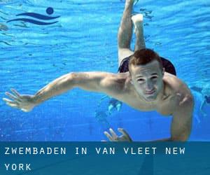 Zwembaden in Van Vleet (New York)